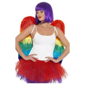 Feather Wings Rainbow 60cm x 60cm