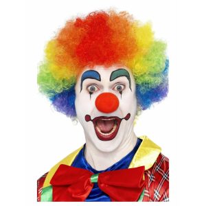 Crazy Clown Pruik Regenboog