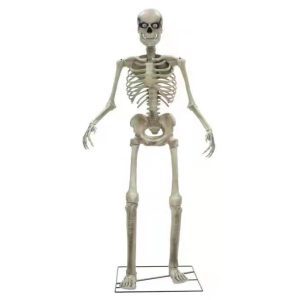 Mega Skelet 2,4 Meter Met Geluid En Beweging