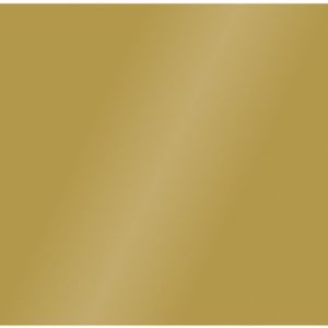 Etalagekarton Folia 48x68cm 380gr pak a 10 vel goud