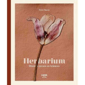 Herbarium – Bloemen Persen En Bewaren – Daisy Ranoe (SNOR)